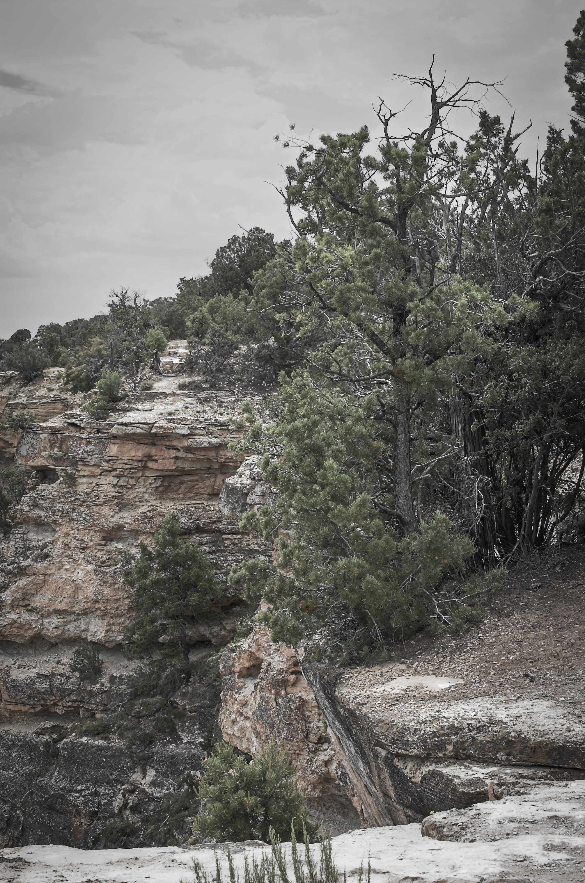 Encroachment - Grand Canyon photograph