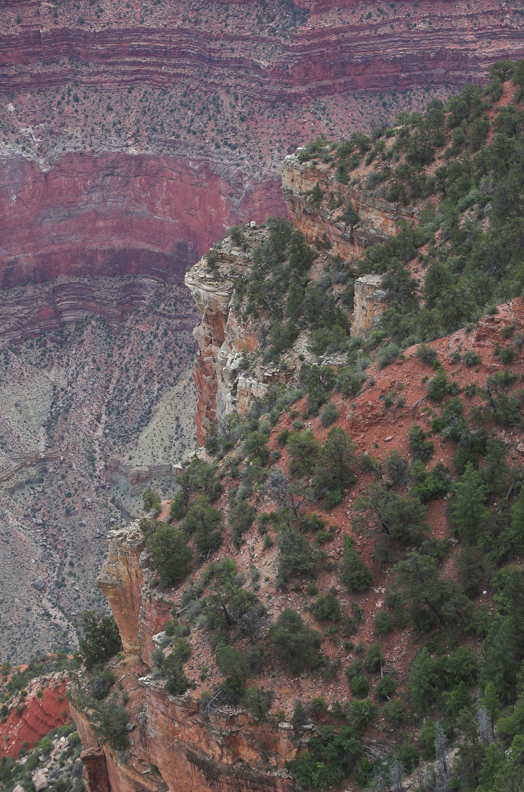 Long Way Down - Grand Canyon photograph