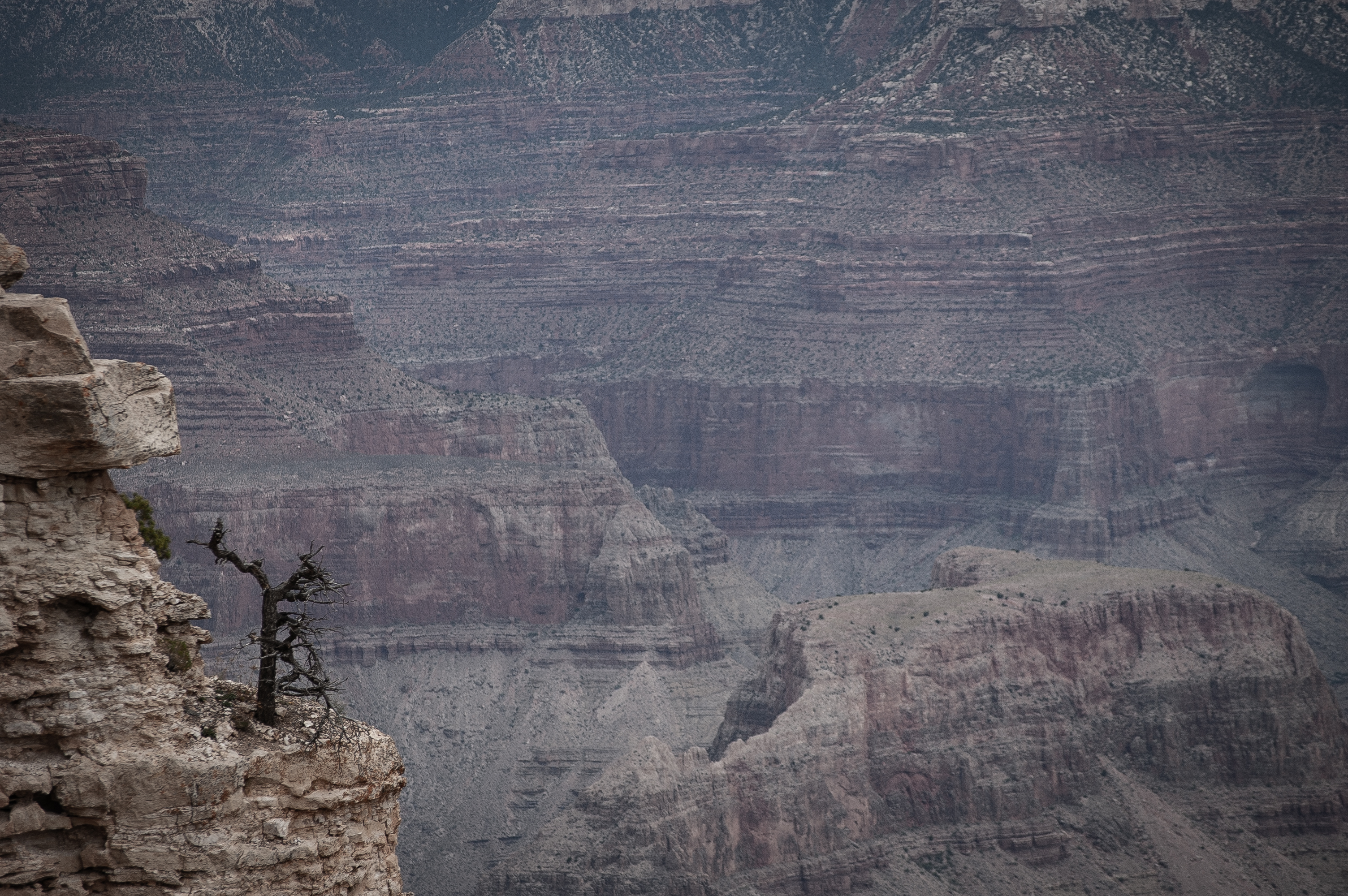 Solitude - Grand Canyon photograph